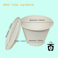 Biodegradable Sugarcane pulp Cup with lid