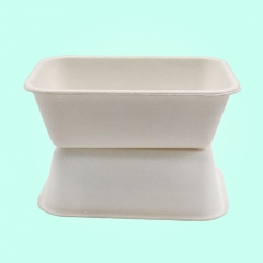 Disposable Biodegradable Food Sugarcane Packing Tray Eco-friendly