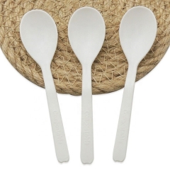 Juego de cucharas de helado biodegradables Cuchara desechable