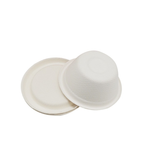 Biodegradable Sugarcane pulp Cup with lid