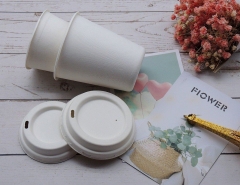 Disposable Water Compostable Cups Hot Drink Biodegradable Cups Sugarcane