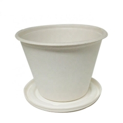 Compostable 500ml disposable sugarcane bagasse pulp coffee disposable cup with lid