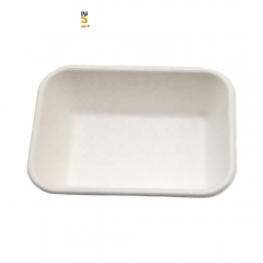 Disposable Biodegradable Food Sugarcane Packing Tray Eco-friendly