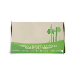 Posate in PLA con cucchiaio biodegradabile CPLA compostabili da 6 pollici per dessert