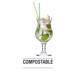 Disposable 100% biodegradable disposable milktea straws for ice cream