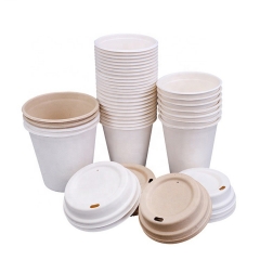 Tasses à café jetables en bagasse réutilisable compostable de prix de gros de 8 oz