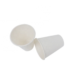 Tazza biodegradabile eliminabile della bagassa della canna da zucchero da 500ml con il coperchio