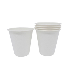 200ml 맞춤 인쇄 컵 생분해성 사탕수수 커피 컵