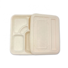 Disposable Cornstarch 5 Compartment Biodegradable Lunch Tray For School