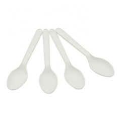 biodegradable composatable CPLA spoon for ice cream