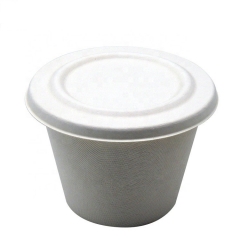 Taza biodegradable del bagazo de la caa de azúcar disponible 500ml con la tapa