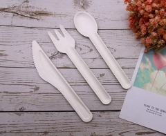 6 inch Sugarcane Cutlery Set Biodegradable Disposable Cutlery