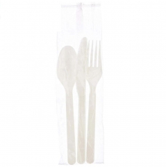 5 Inch Fully Compostable Biodegradable Disposable PLA Spoon For Food