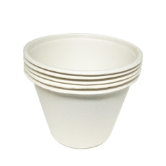 500ml Eco Friendly Disposable Biodegradable Sugarcane Cup