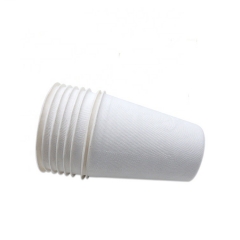 Compostable Bagasse Coffee Cup For Restaurant