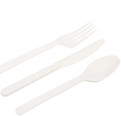 5 Inch Fully Compostable Biodegradable Disposable PLA Spoon For Food