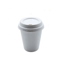 Tasses à café jetables en bagasse réutilisable compostable de prix de gros de 8 oz