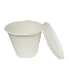 Tasse de canne à sucre biodégradable Fashion Cup avec couvercle pour toutes sortes d'occasions