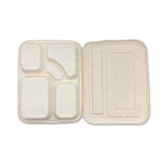 Disposable Cornstarch 5 Compartment Biodegradable Lunch Tray For School