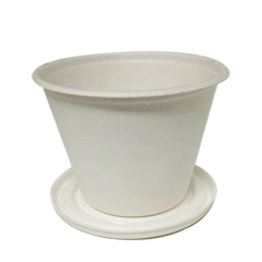 Tasse de canne à sucre biodégradable jetable écologique de 500 ml