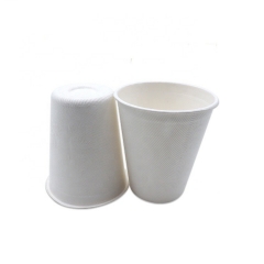 Free Sample 8oz Sugarcane Fiber Cups with Lid