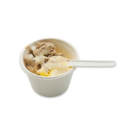 Petites cuillères à glace jetables Cuillère à glace 100 % compostable