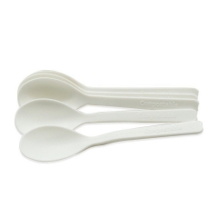 Wholesale Price Eco friendly CPLA Dessert Spoons Set