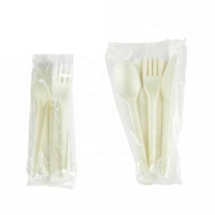 Compostable Spoon Fork Disposable PLA Cutlery Fork Spoon