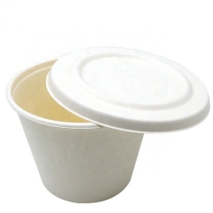 500ml Disposable Sugarcane Bagasse Biodegradable Cup With Lid