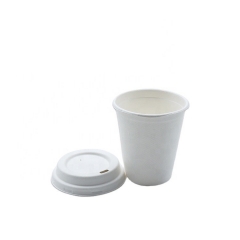 Vaso biodegradable desechable de bagazo con tapa