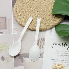 Biodegradable plastic ice cream spoon disposable spoon for ice cream
