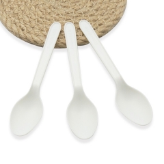 biodegradable composatable CPLA spoon for ice cream
