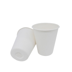 Tasse à café biodégradable de canne à sucre jetable de haute qualité