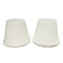 Biodegradable Sugarcane pulp Cup with lid