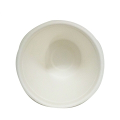 Taza de caa de azúcar biodegradable Fashion Cup con tapa para cualquier tipo de ocasión