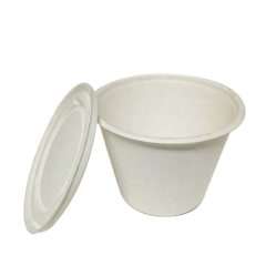 Tasse de bagasse de café écologique personnalisée avec couvercle