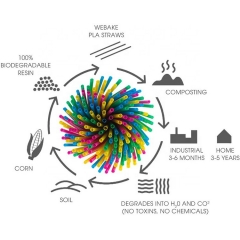 Paille biodégradable de thé à bulles PLA 12 mm emballée directement en usine