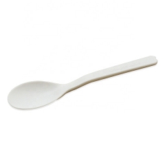 Biodegradable ice cream plastic spoon custom spoon for ice cream