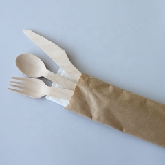 Wooden Disposable Spoon Wood Spoon