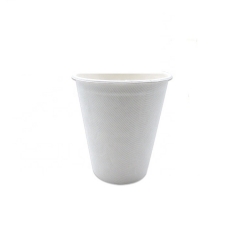 Usine écologique compostable biodégradable usine de canne à sucre tasses en plastique jetable tasses à café avec couvercles