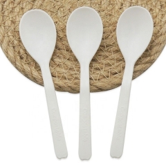 Biodegradable Disposable Wrapped Ice Cream Spoon