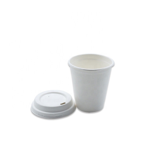 टेकअवे के लिए ढक्कन के साथ पर्यावरण के अनुकूल डिस्पोजेबल गन्ना कॉफी कप