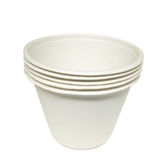 Taza de café desechable caa de azúcar tazas biodegradables seguras para microondas