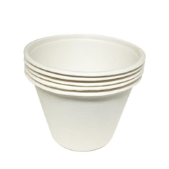 Disposable Coffee Cup Sugarcane Biodegradable microwave safe cups