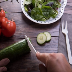 Conjunto de talheres descartáveis ​​de plástico biodegradável PLA compostável