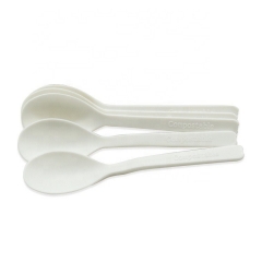 Wholesale Price Biodegradable Disposable Custom Measuring Dessert Tea Spoon