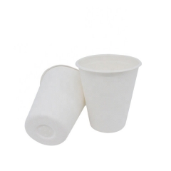 500ml Disposable Sugarcane Bagasse Biodegradable Cup With Lid