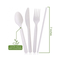 6 / 6.5 / 7 inch Customized Biodegradable Disposable Cutlery CPLA Cutlery Set