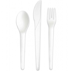 Eco Disposable Compostable PLA 100% Biodegradable Spoon For Dessert