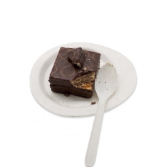 Biodegradable Eco Friendly Durable Mini Dessert Small Spoons for Desserts